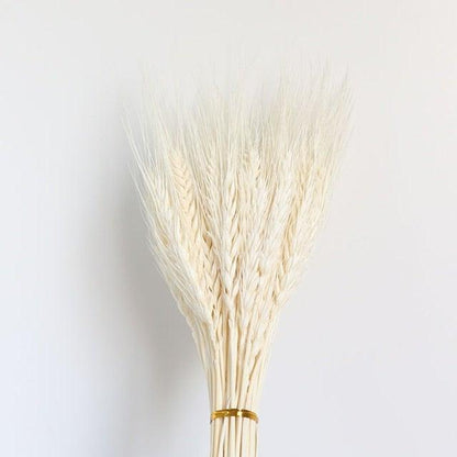 30pcs Natural Dried Pampas Grass Bouquet Pampas Grass Reeds Flowers Bulrush Bouquets Durable For for Vase Artificial Grass Room Décor Wedding Decorations
